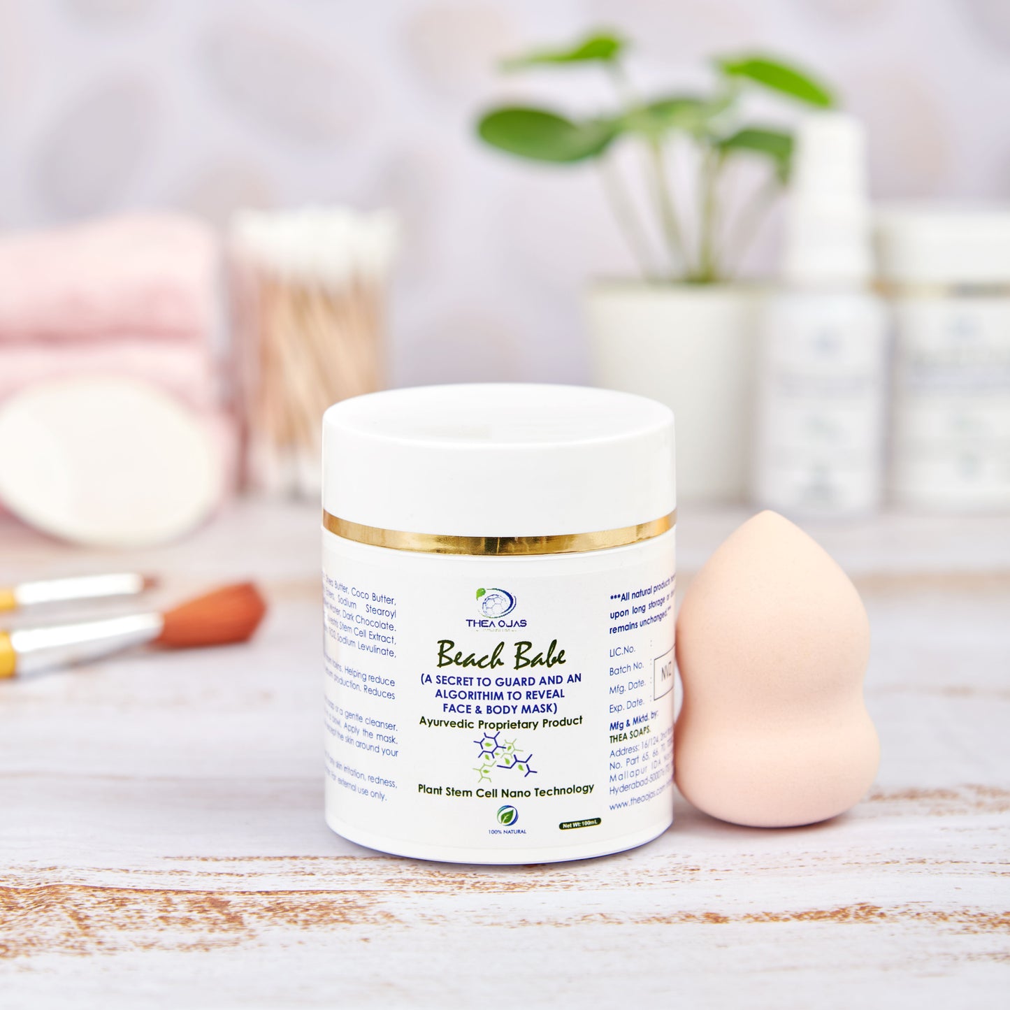 BEACH BABE (A SECRET TO GUARD AND AN ALGORITHIM TO REVEAL FACE & BODY MASK)